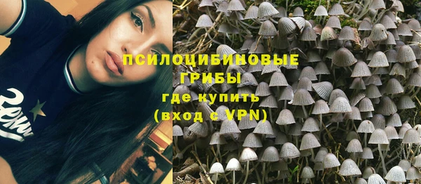 а пвп мука Навашино