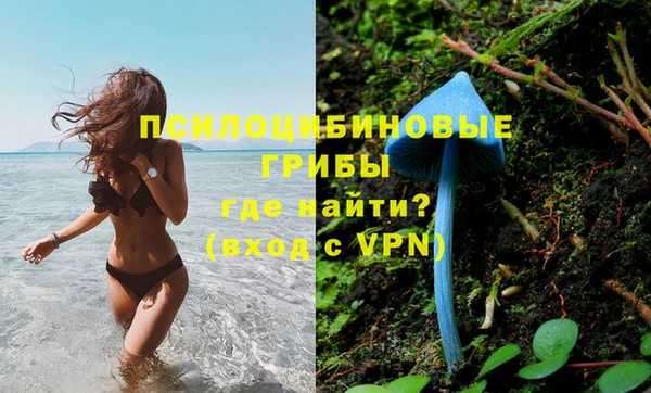 а пвп мука Навашино