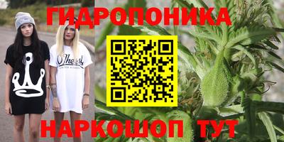 МДПВ Будённовск