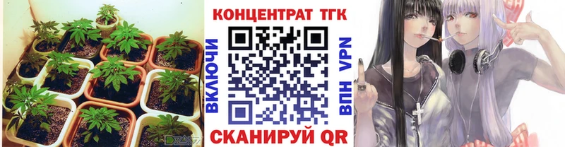 ТГК жижа  где купить наркоту  гидра   Воронеж 