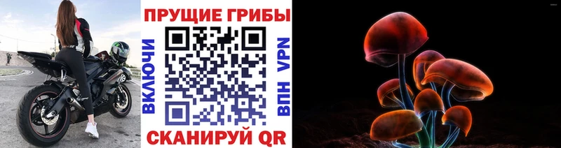 магазин продажи наркотиков  Воронеж  Галлюциногенные грибы ЛСД 