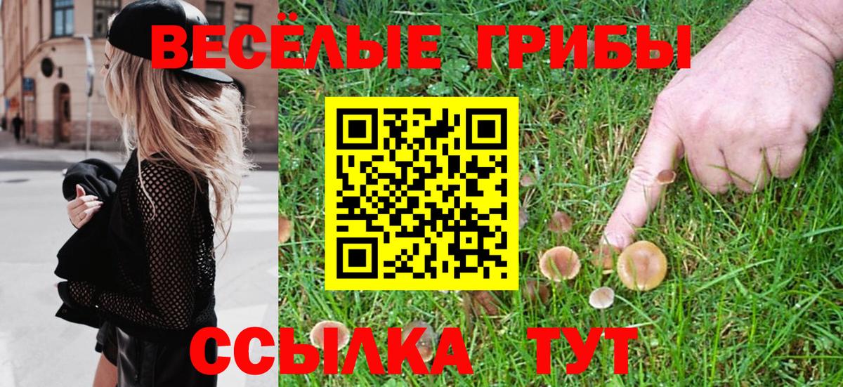 закладки  Вход с VPN  Воронеж  Псилоцибиновые грибы Magic Shrooms 